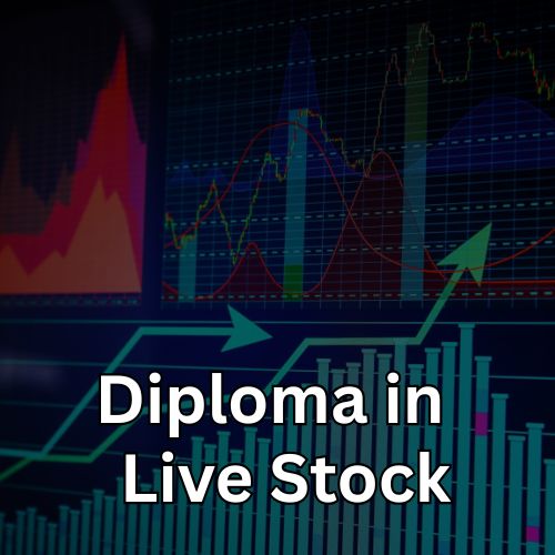 Diploma In  Live Stock