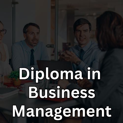 Diploma In Business Management