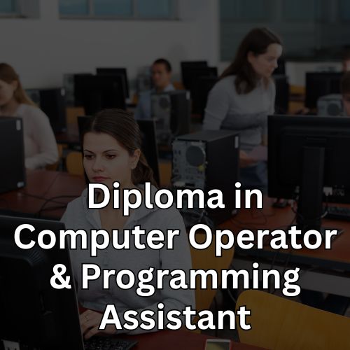 Diploma in Computer Operator & Programming Assistant
